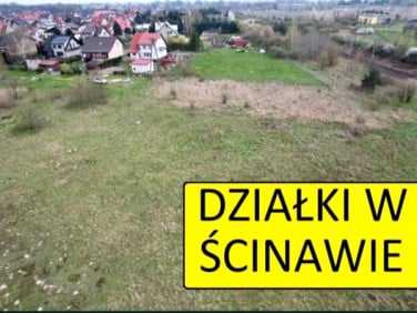 Działka Ścinawa