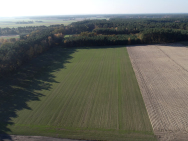 Działka Grabów nad Prosną