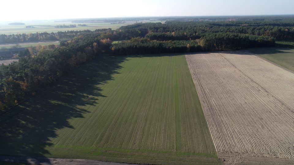 Działka Grabów nad Prosną