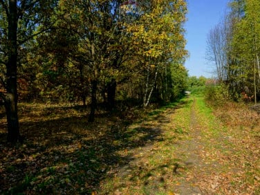 Działka budowlana Puszcza Mariańska