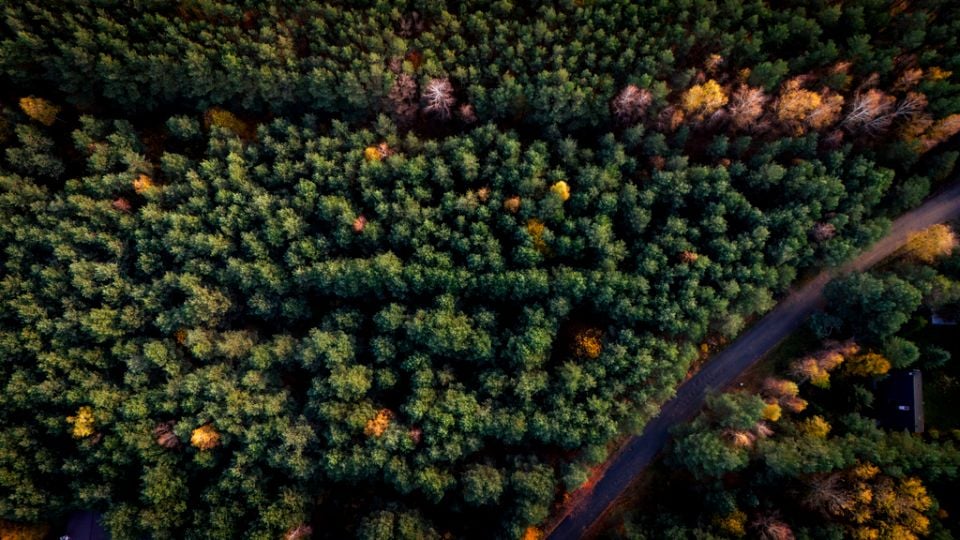 Działka budowlana Wodzierady sprzedam