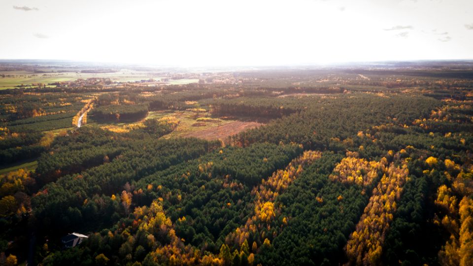 Działka Wodzierady