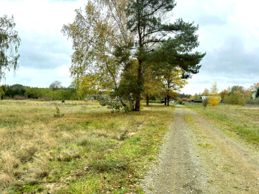 Działka Brzózki