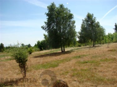 Działka Stargard