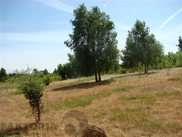 Działka Stargard