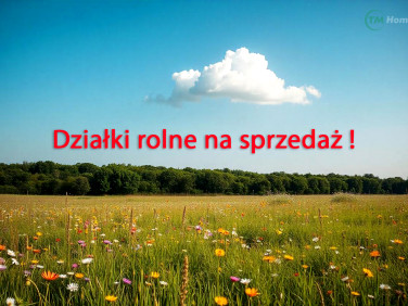 Działka rolna sprzedam