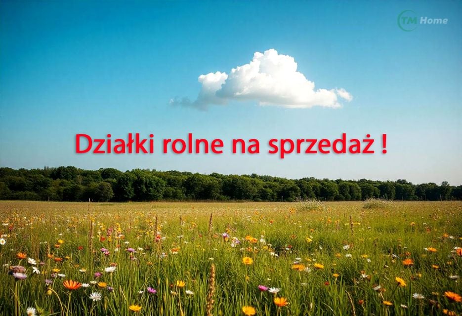 Działka rolna sprzedam