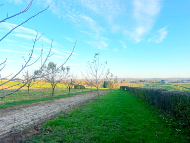 Dom Mogielnica sprzedaż