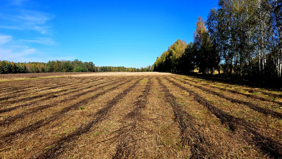 Działka budowlana Grabostów