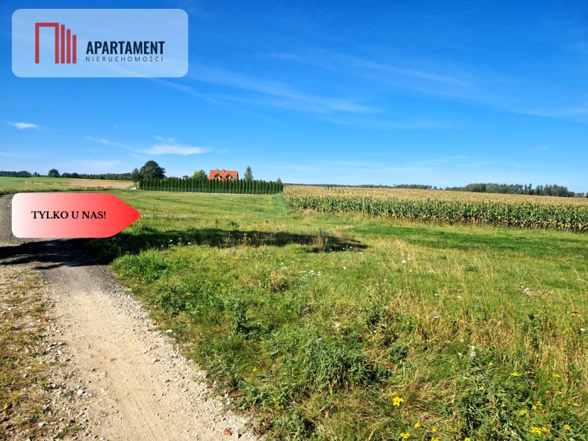 Działka Krojanty