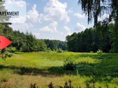 Działka Lubiewo