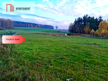 Działka Abisynia