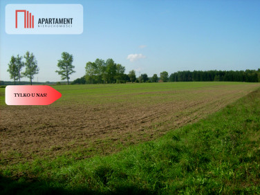Działka Kamień Krajeński