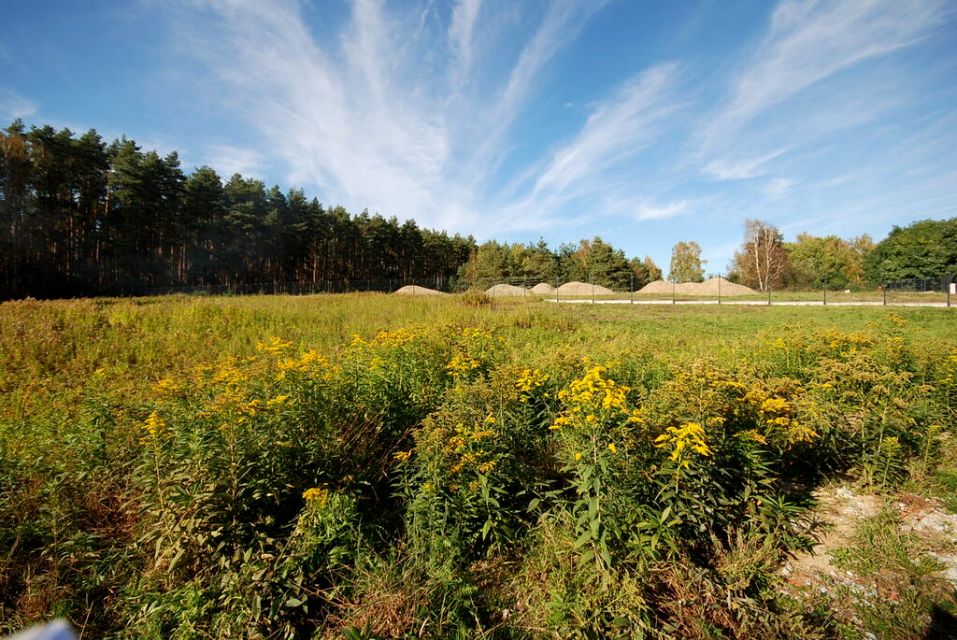 Działka Grodzanów