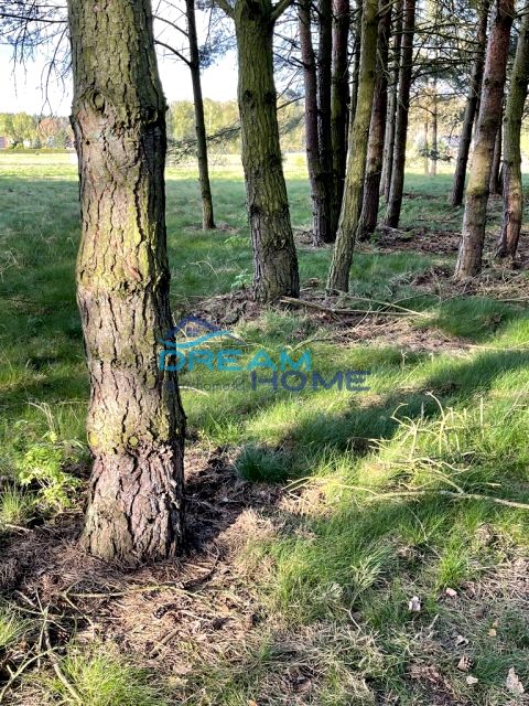 Działka Nowe Warpno