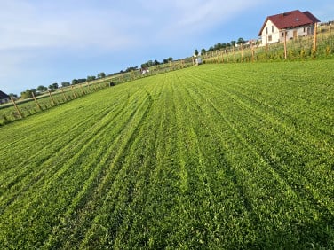 Działka budowlana Jankowice sprzedam