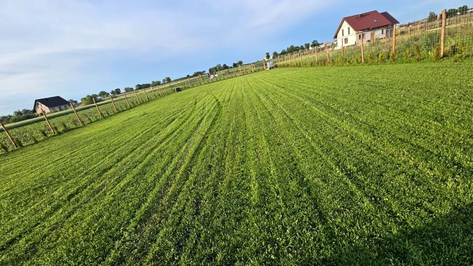 Działka budowlana Jankowice sprzedam