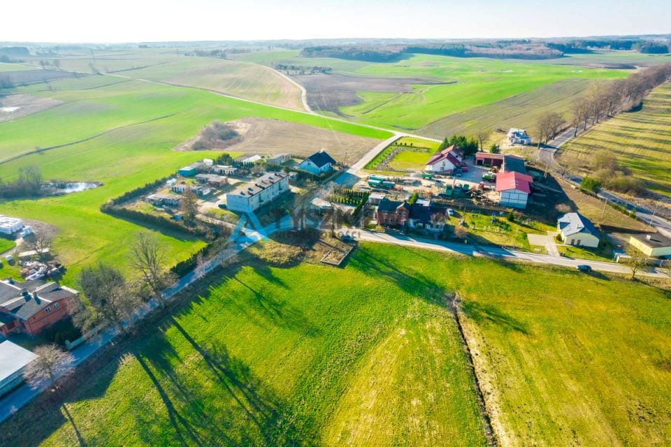 Zdjęcie 3