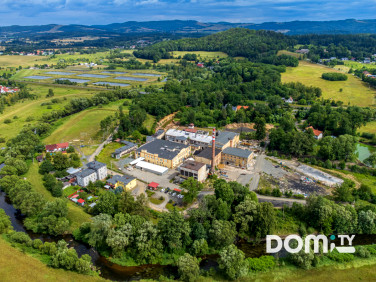 Lokal Dąbrowica sprzedaż