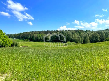 Działka budowlana Nowa Wieś Przywidzka sprzedam