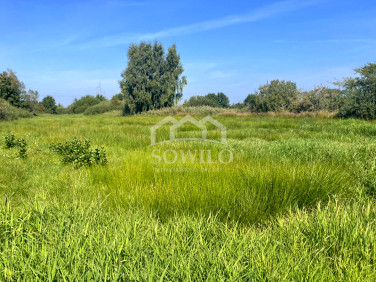 Działka rolna Puck sprzedam