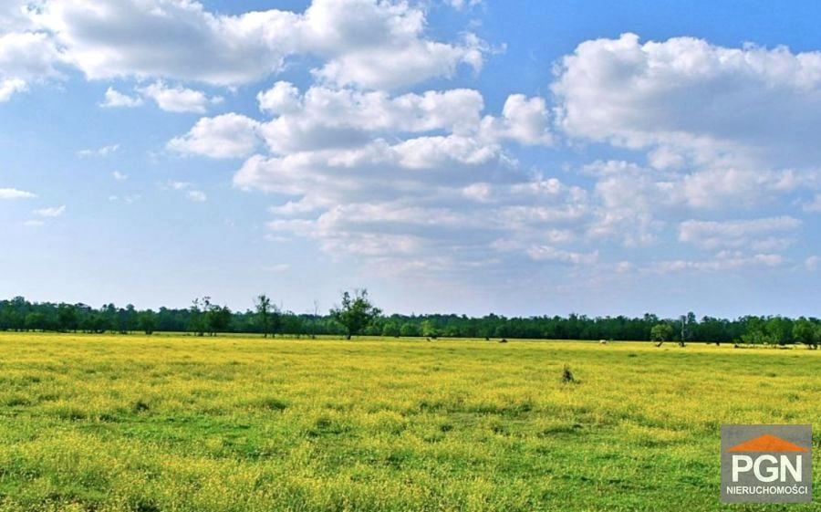 Działka budowlana Pogorzelica sprzedam