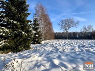 Działka budowlana Ładzin