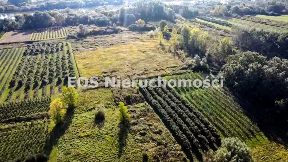 Działka Koprzywnica