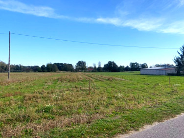 Działka Rogów