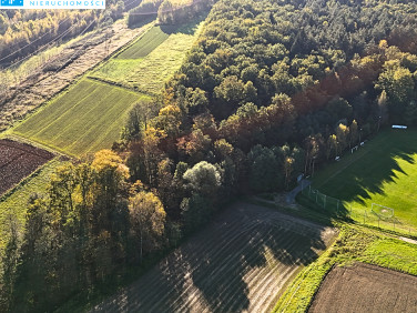 Działka Łoniowa