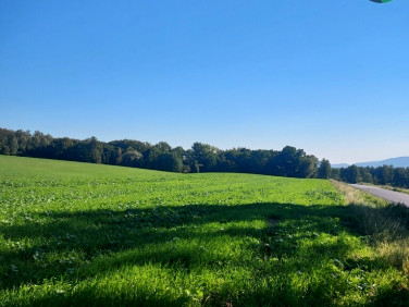 Działka usługowa Osiek