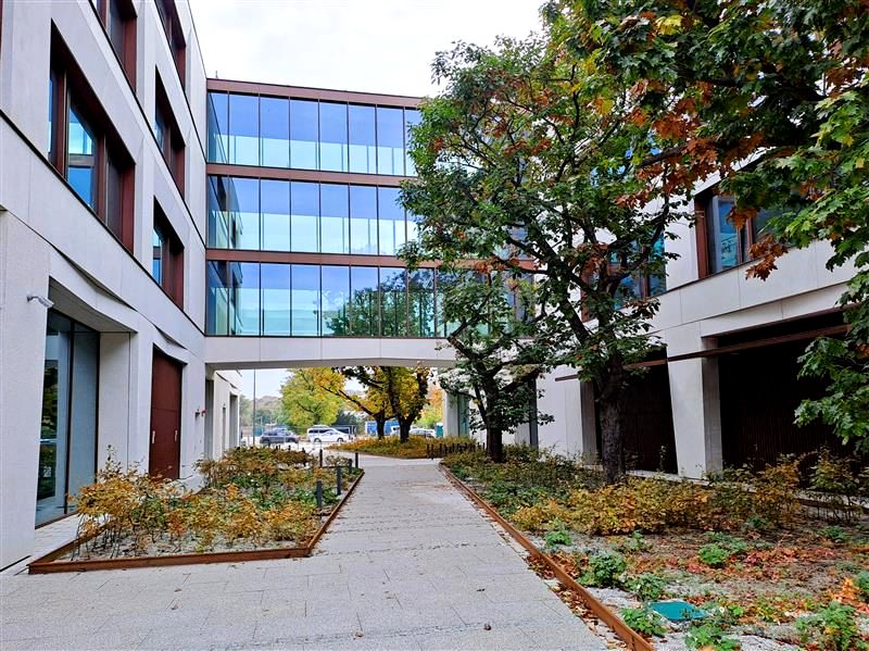 Lokal Gdynia wynajem