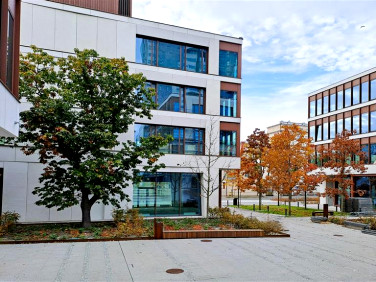 Lokal Gdynia