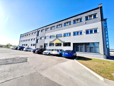 Lokal Gorzów Wielkopolski wynajem