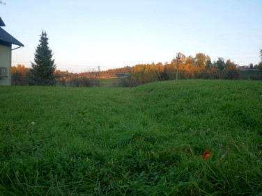 Działka rolno-budowlana Krzęcin