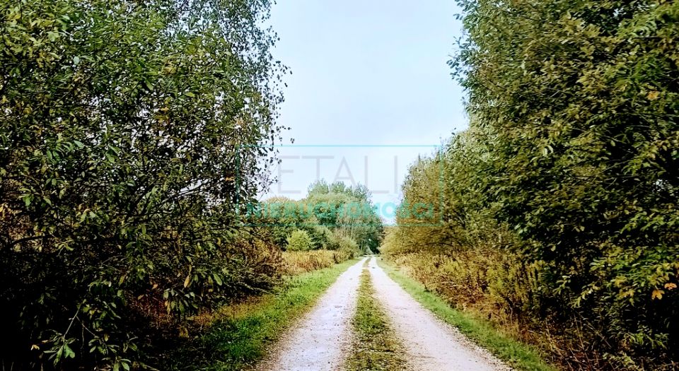 Działka siedliskowa Nowa Bukówka