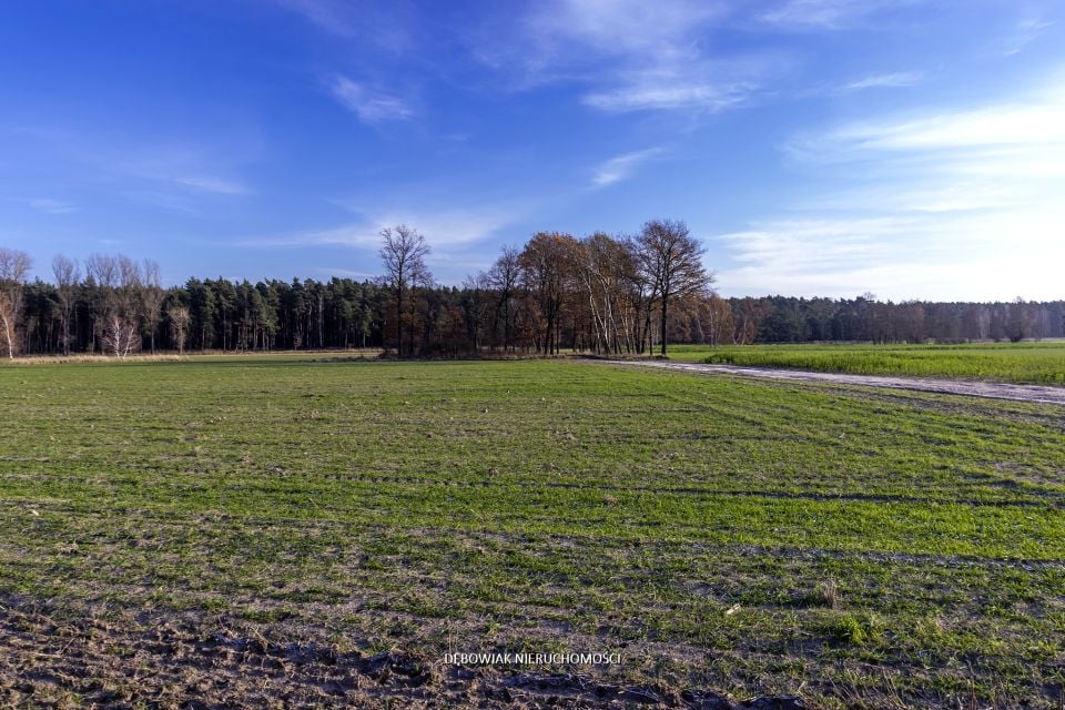 Działka budowlana Niechłód