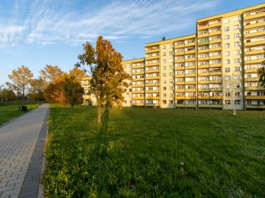 Mieszkanie Siemianowice Śląskie