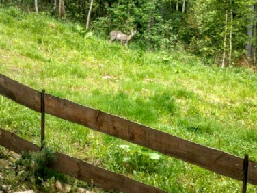 Działka budowlana sprzedam