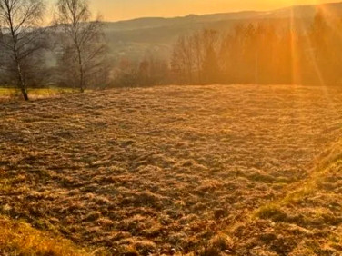 Działka budowlana Głogoczów