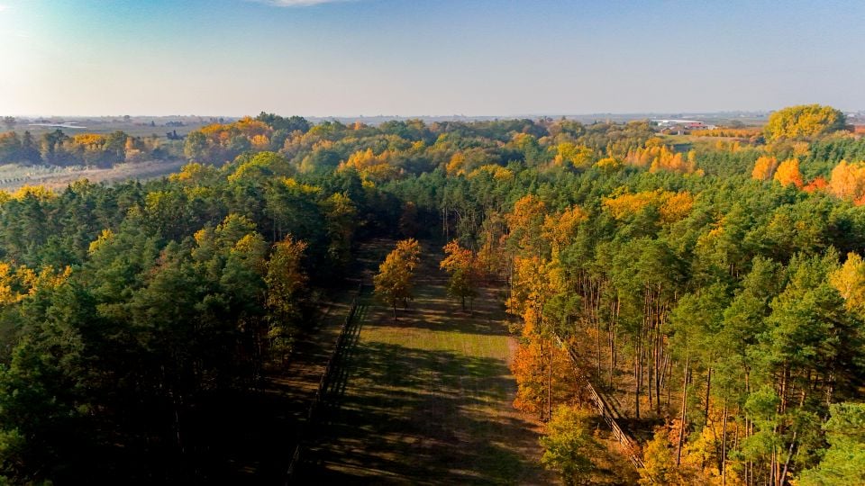 Działka budowlana Ostrołęka