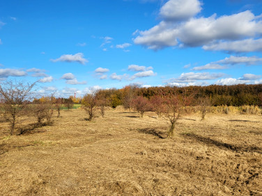 Działka Rogówko