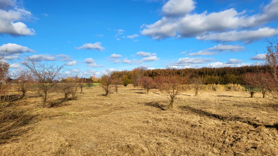 Działka Rogówko