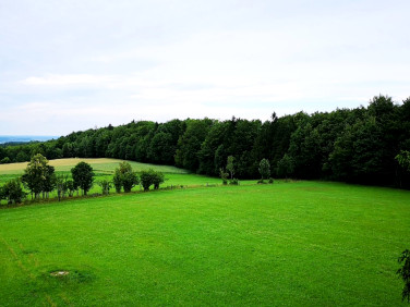 Działka budowlana Glaznoty