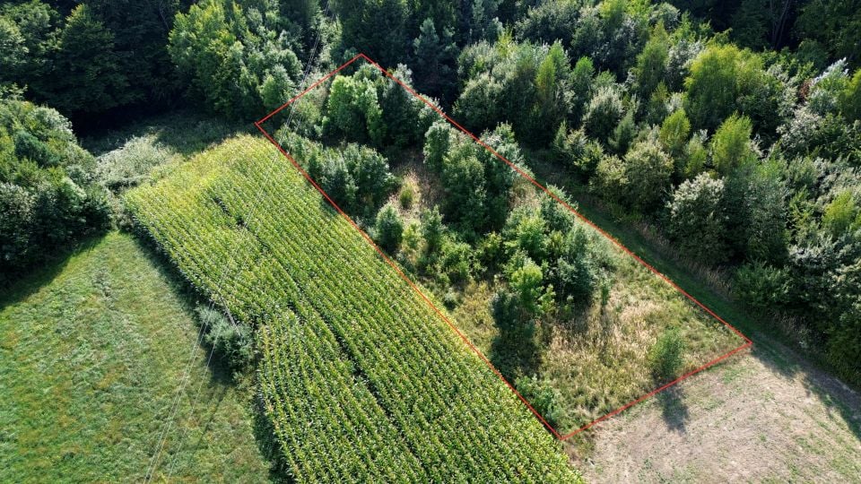 Działka budowlana Rączyna