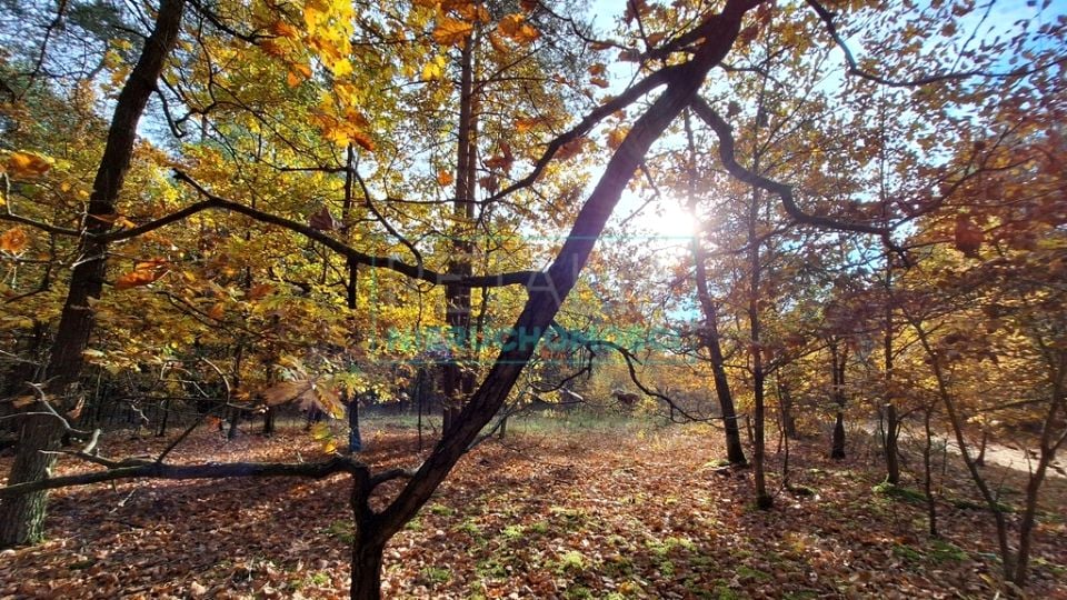 Działka budowlana Radziejowice