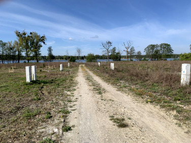 Działka Kórnik