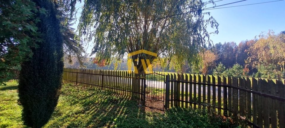 Zdjęcie 3
