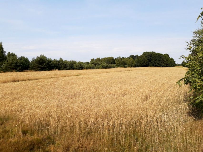 Działka rolna Bychlew