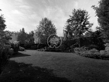 Dom Toruń sprzedaż